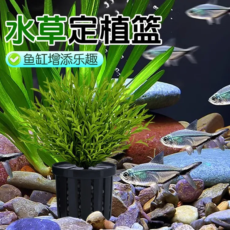 家用鱼缸水草定植篮造景装饰固根器水草泥沉底水草固定器