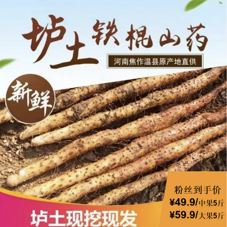 河南焦作温县垆土铁棍山药 新鲜营养5斤装