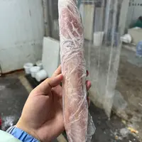 【火箭大鱿鱼】上街弟推荐 火箭鱿鱼 乌贼 枪管 福州发货源头海捕