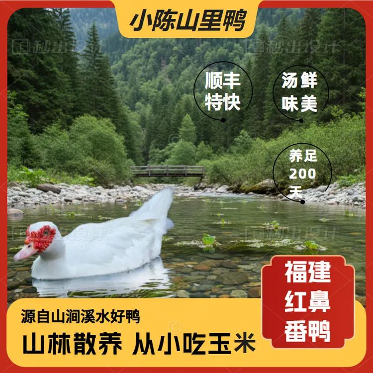 小陈正宗溪水鸭跑山散养玉米莆田小种红鼻番鸭鸭汤鲜甜肉香诱人