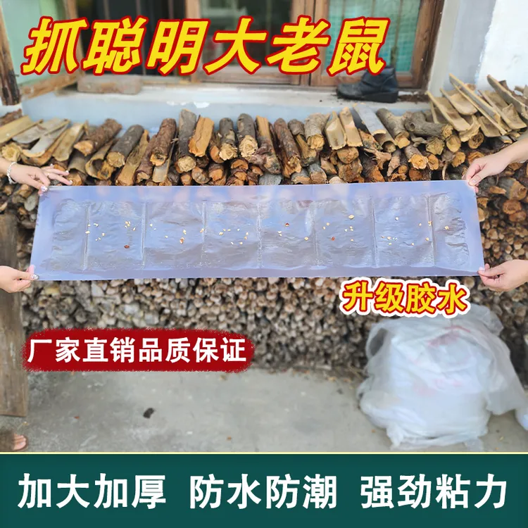 老鼠贴强力粘鼠板超大号强力胶粘大老鼠捕鼠神器粘鼠板魔毯抓灭鼠