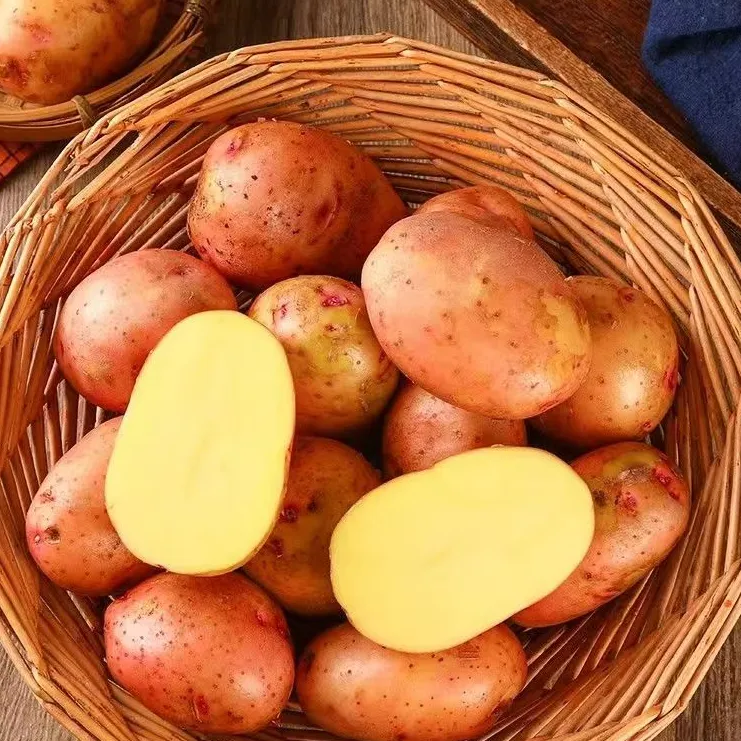 【产地直发】云南红皮正宗土豆黄心洋芋现挖品种马铃薯批发新鲜