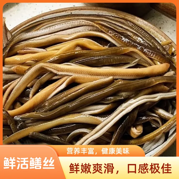 现杀鳝丝，去头去骨，1.5斤+半斤，顺丰包邮，厂家现货淡水供应