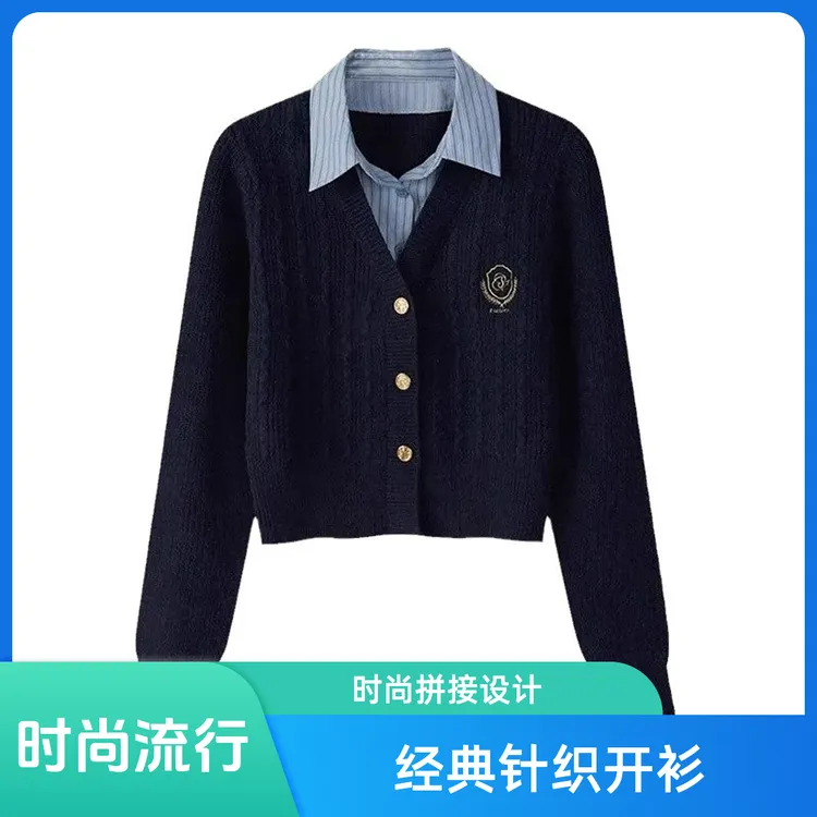 奥莱撤柜出游服装女慵懒风洋气女装2024秋冬新款假两件针织毛衣女