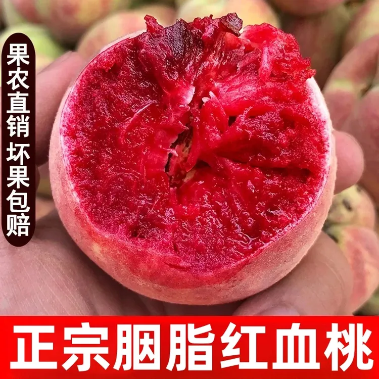 【胭脂红血桃5】 应季水果当季桃子【又脆又甜】现摘现发红心桃子