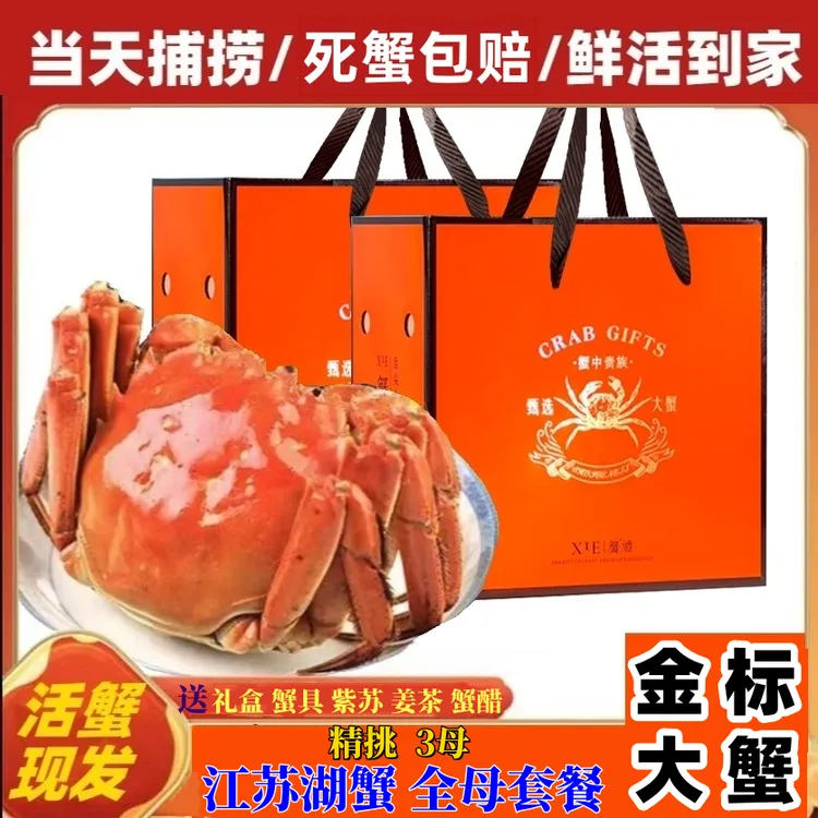 【活蟹现发】金标全母洪泽湖大闸蟹（3-2.7两）8只-10只礼盒顺丰包邮