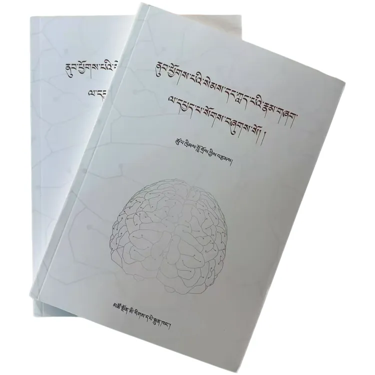 探究西方各领域关于大脑与意识的观点:藏文