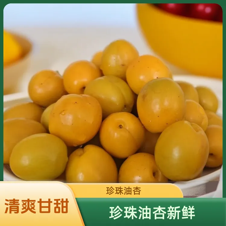 珍珠油杏新鲜采摘无公害 现摘现发 通果装顺丰包邮