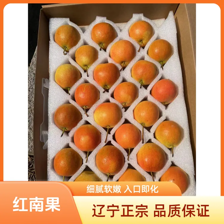 南果梨正宗辽宁特产，果肉细腻软后吃，个别有轻微果绣树膜
