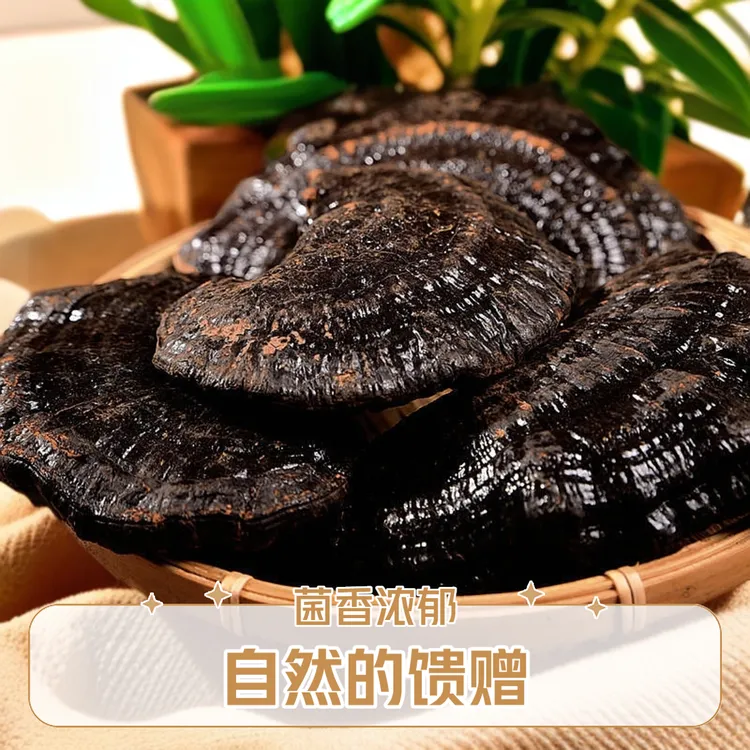 林区天然大黑灵芝整个可泡酒泡水煲汤的干货