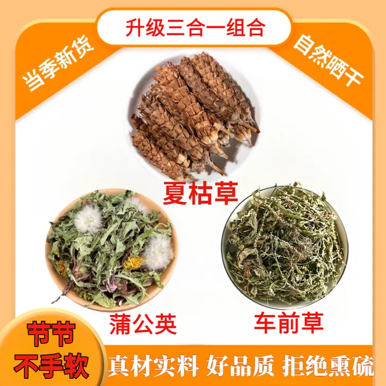 正宗夏枯草蒲公英车前草新鲜干货无硫夏枯球婆婆丁河南土特产山货