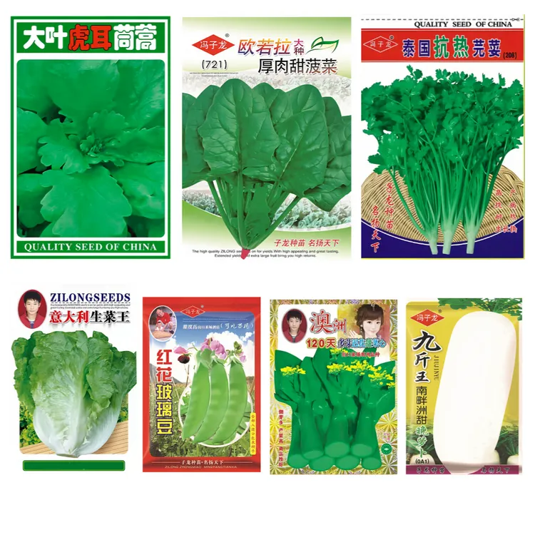 秋季冬季蔬菜种子大全菠菜香菜生菜萝卜茼蒿菜种子