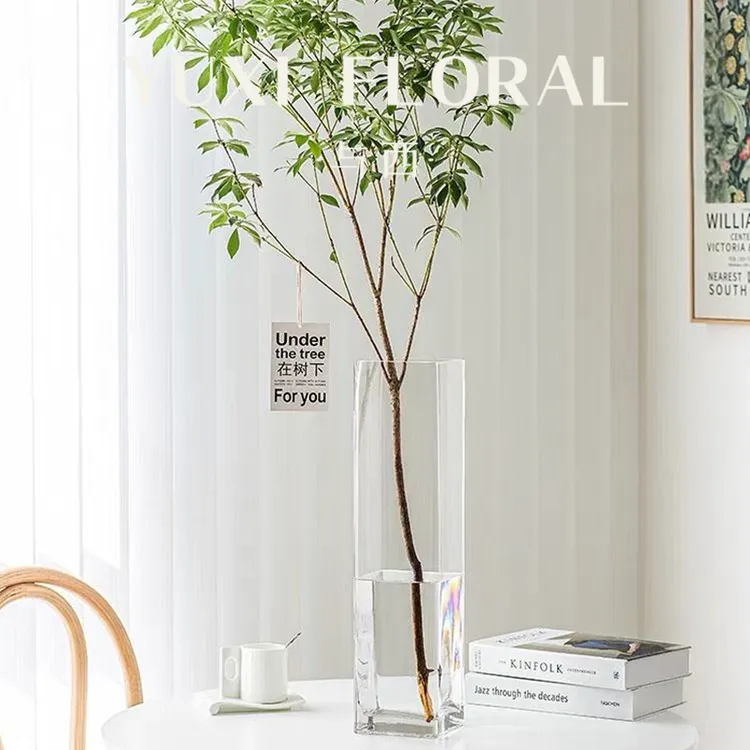 YUXI/与西方形落地玻璃花瓶透明富贵竹百合花水养客厅现代简约