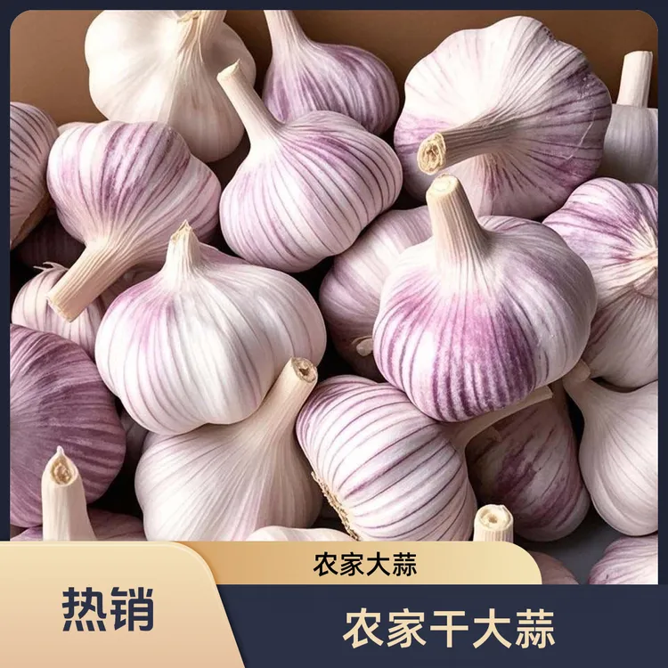 【邳州农家土大蒜】干大蒜产地直发大蒜头干蒜紫白皮大蒜