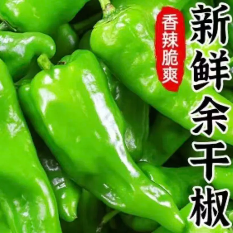 【新鲜上市】现摘现发余干辣椒农家露天种植特辣薄皮辣椒非小米辣