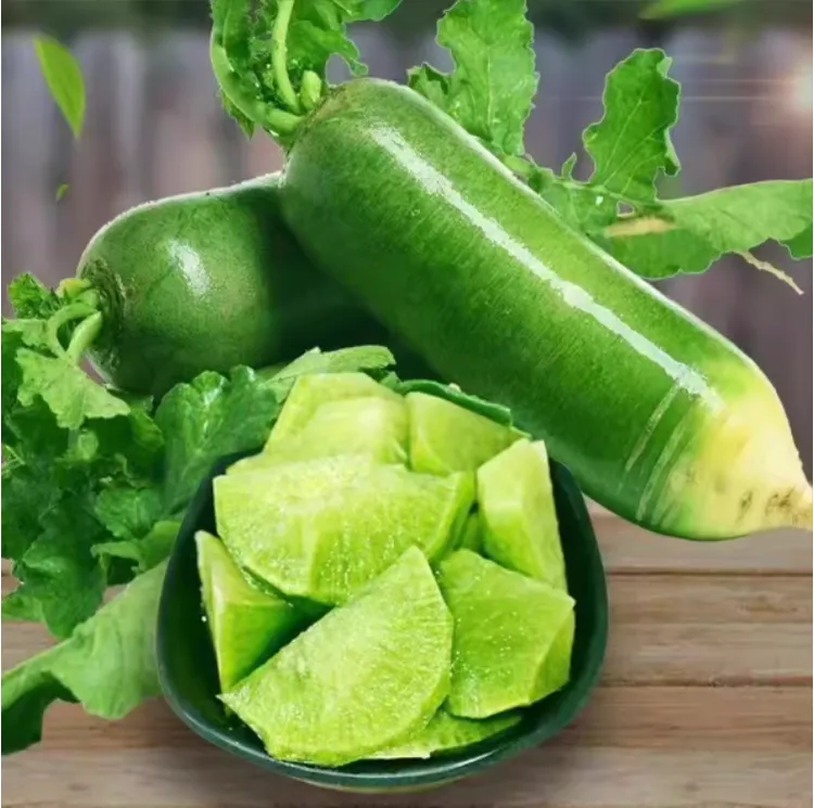 正宗天津沙窝水果萝卜新鲜现挖清脆多汁清甜爽口送礼佳品生吃萝卜