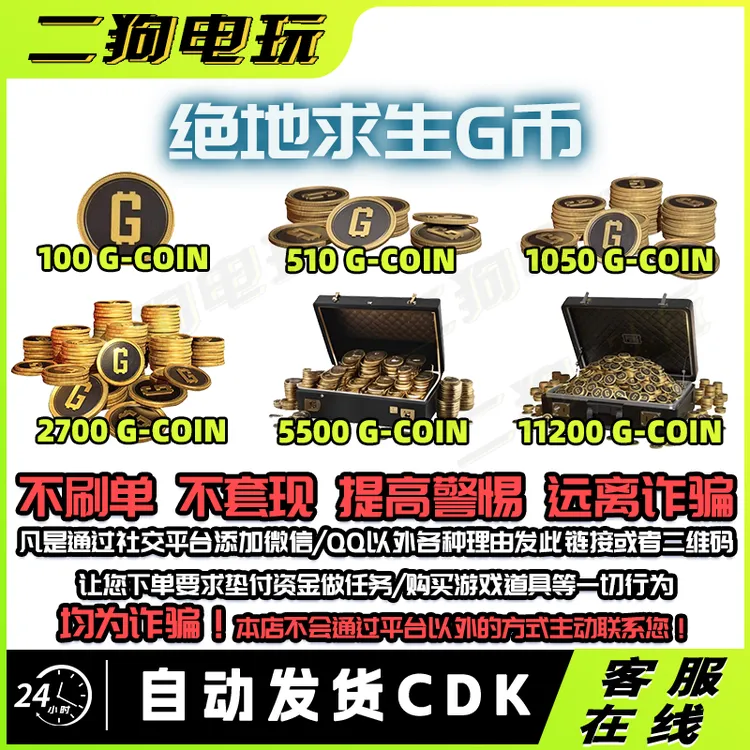 绝地求生 PUBG G币 吃鸡 金币 steam游戏G-coin CDK兑换码 gb代充商品图