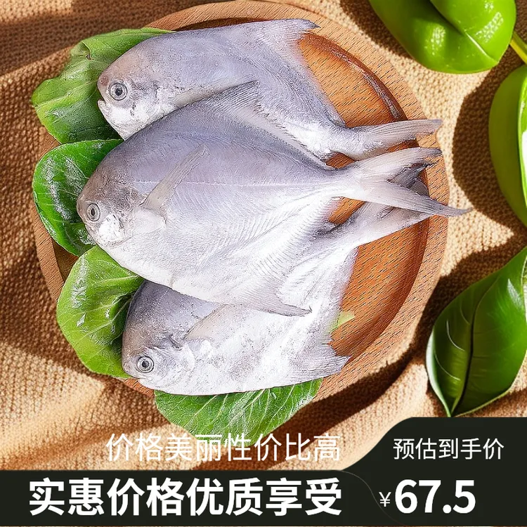 当季银鲳鱼5斤鲳鱼5条/斤/包大个体均匀冷链锁鲜发货
