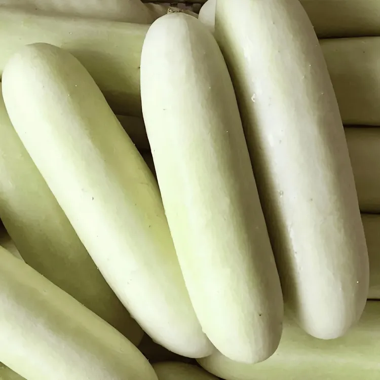 湖北新白皮黄瓜白玉农户现摘现发煲汤土黄瓜旱黄瓜新鲜蔬菜3斤