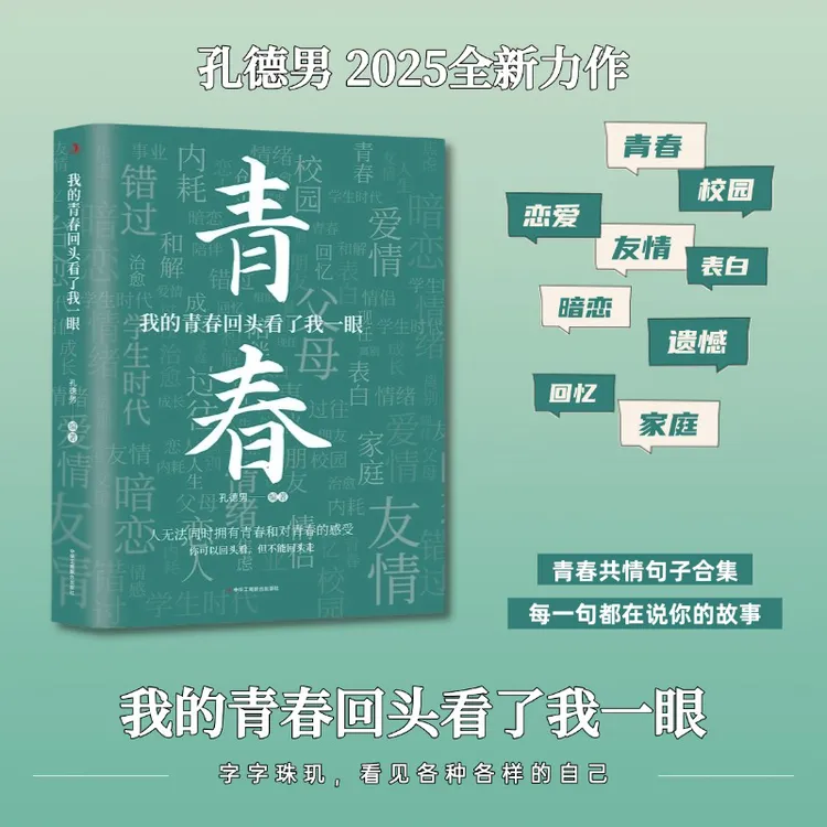 我的青春回头看了我一眼 孔德男2025新作 句子文案 治愈成长 遗憾商品图