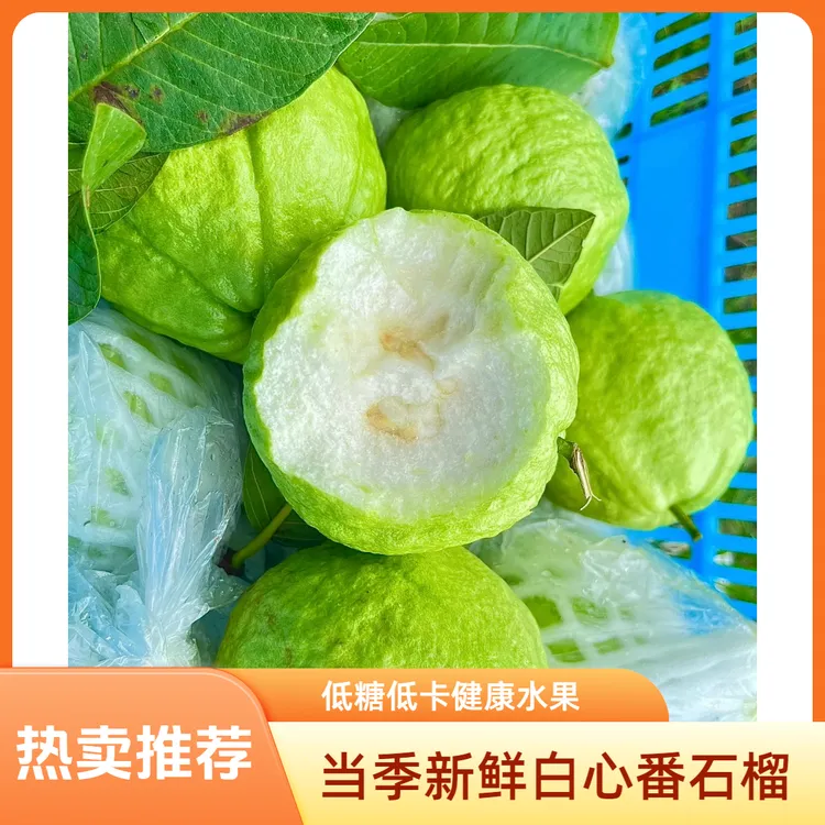 当季新鲜清甜脆爽白心番石榴低糖低卡高VC孕妇新鲜网红水果芭乐