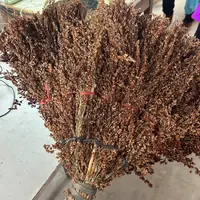 【曹小月专属】高粱扫把扫地农村实用型扫把一把装