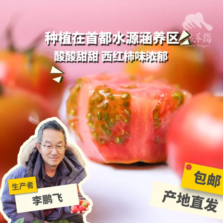 有机草莓西红柿 3斤/5斤 河北