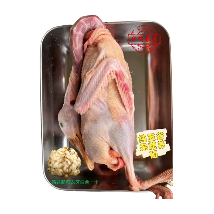 现杀现发农家散养新鲜稻田鸭土鸭子蛋鸭肉生鲜营养美味顺丰包邮