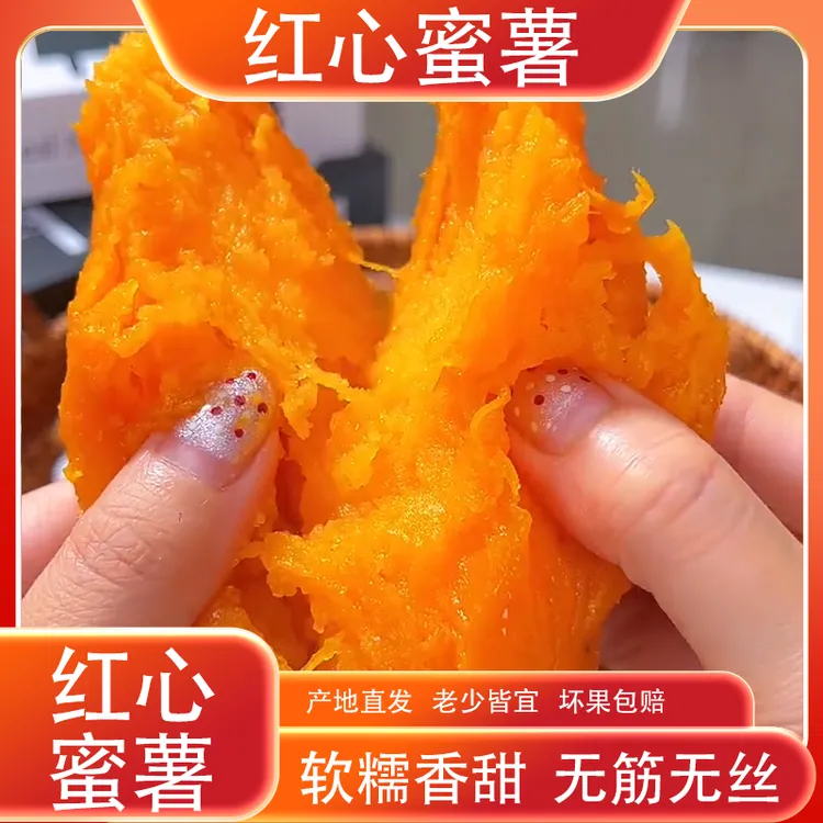 新鲜糖心板栗番薯西瓜红蜜薯新鲜现挖红心无丝红薯软糯香甜红蜜薯