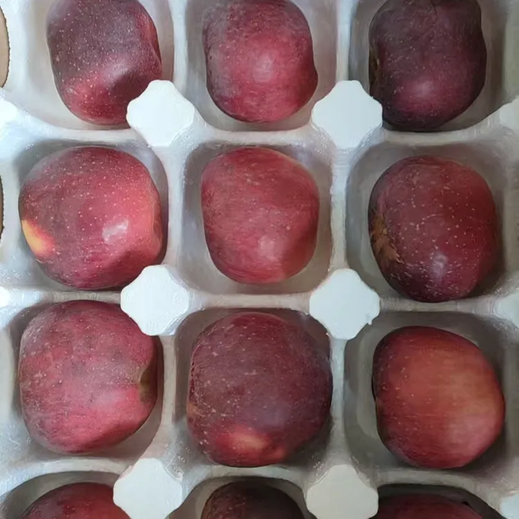 云南寻甸响富苹果  果肉细腻香甜新鲜水果  有机食品