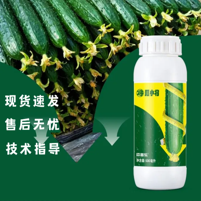q瓜小将黄瓜专用全营养调节高产顺直促花膨果秧子壮黄瓜专用肥