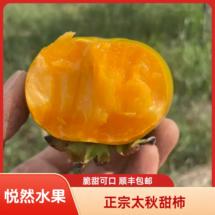 顺丰包邮【太秋甜柿】脆柿子应季水果糖心脆甜大果硬柿子