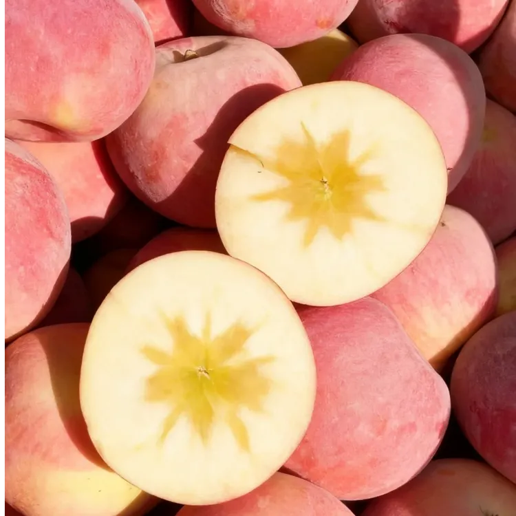 新疆阿克苏冰糖心苹果家庭装新鲜水果