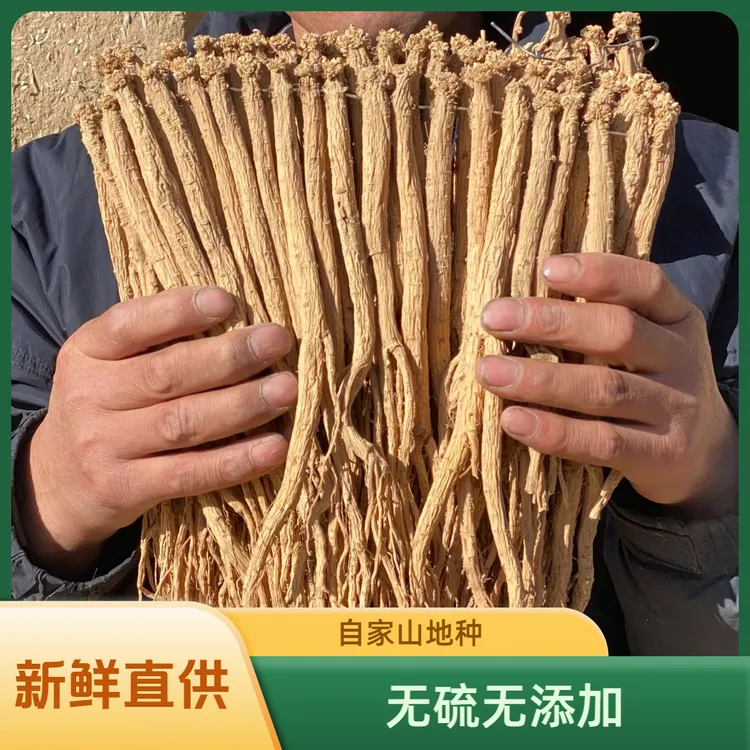 甘肃新鲜野党参定西渭源可泡水两广煲汤食补岷县土党参段无硫五年