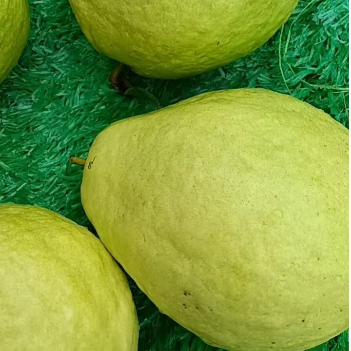 现摘白石榴 晶莹果肉甜润多汁 皮薄核软无打蜡 自然成熟