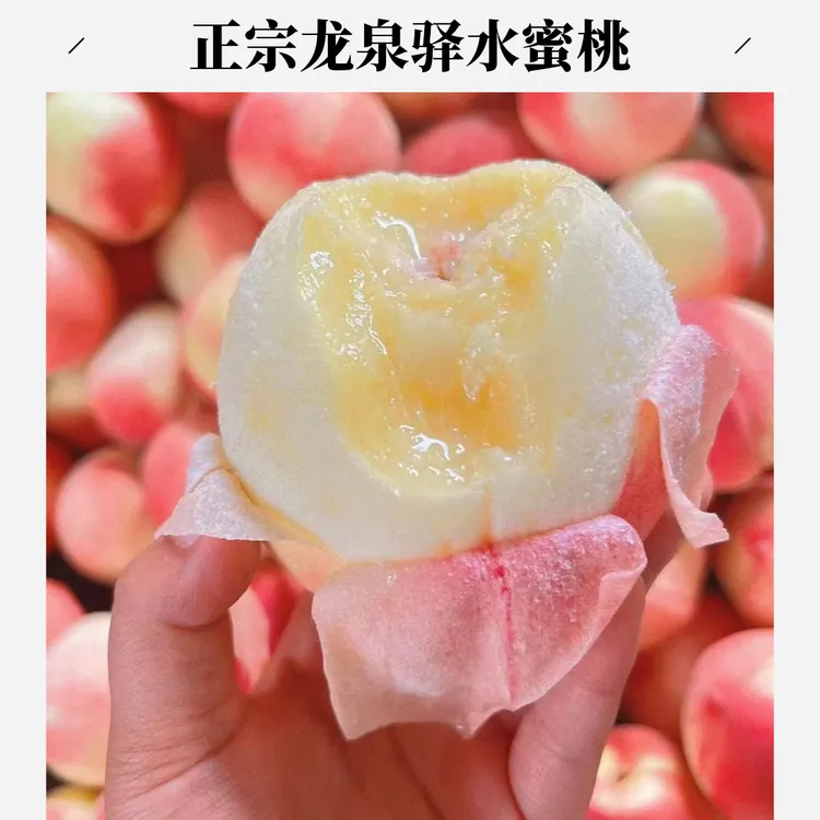 龙泉驿川渝链接【晚湖景水蜜桃】正宗龙泉驿水蜜桃一口爆汁纯甜无酸