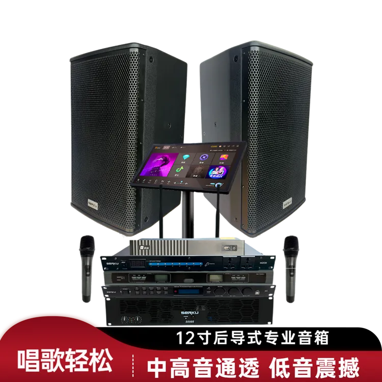 索尔KS6012卡拉OK音响套装 家庭客厅影音室KTV室卡拉OK唱歌点歌