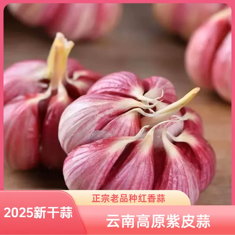 2025新干蒜 云南高原紫皮蒜 正宗老品种红香蒜 自然晒干 蒜香浓郁