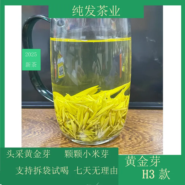 2025年新茶【头采】H3黄金芽  浓香  板栗香 豆香    罐装