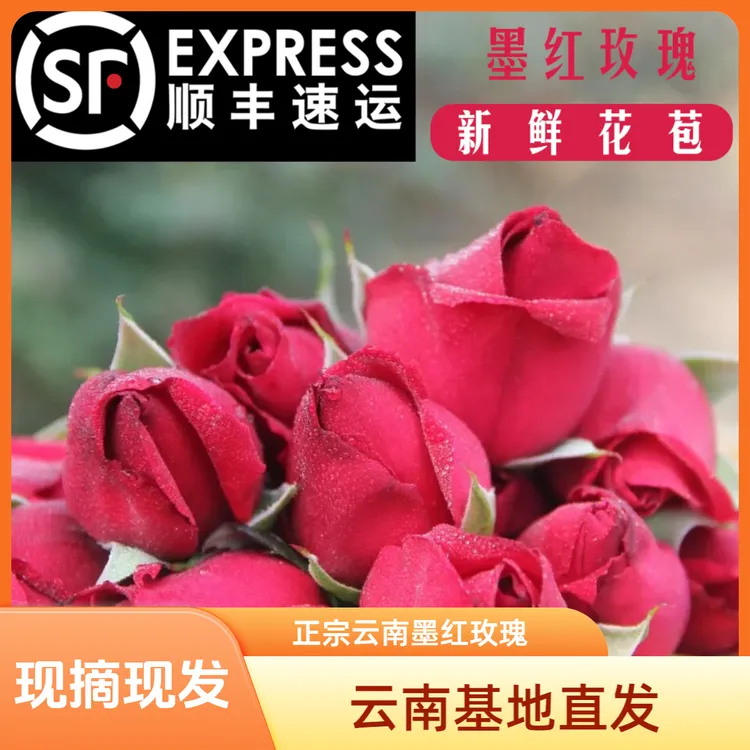（现摘现发）新鲜墨红玫瑰食用玫瑰花可食用玫瑰花云南墨红玫瑰荞麦
