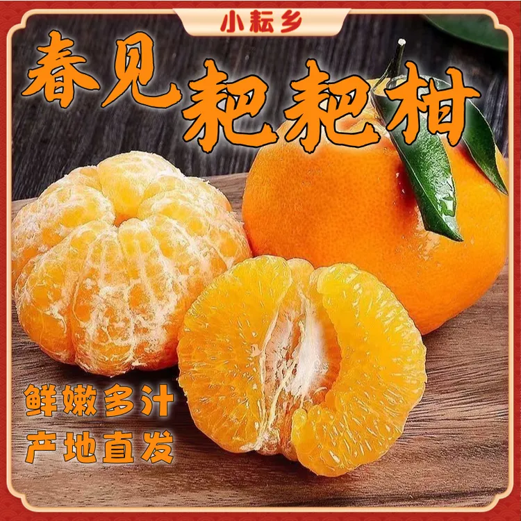 小耘乡正宗四川春见耙耙柑橘子当季丑橘八怪新鲜水果产地直发