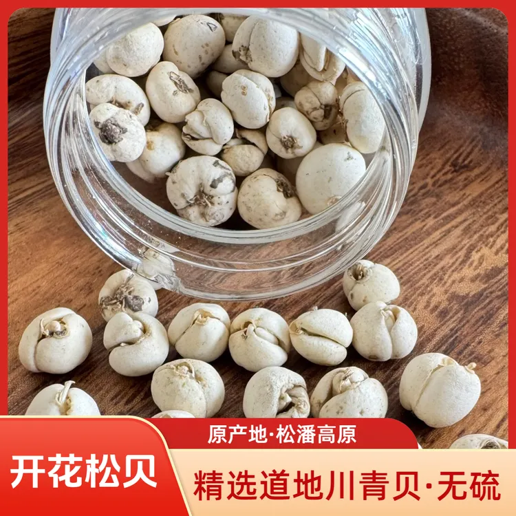 2025年产新四川川贝母松贝母开花阶段（青贝）原产地松潘草原炖雪梨