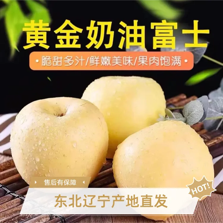 辽宁绥中奶油富士苹果正宗产地现摘脆甜多汁新鲜当季水果非烟台果