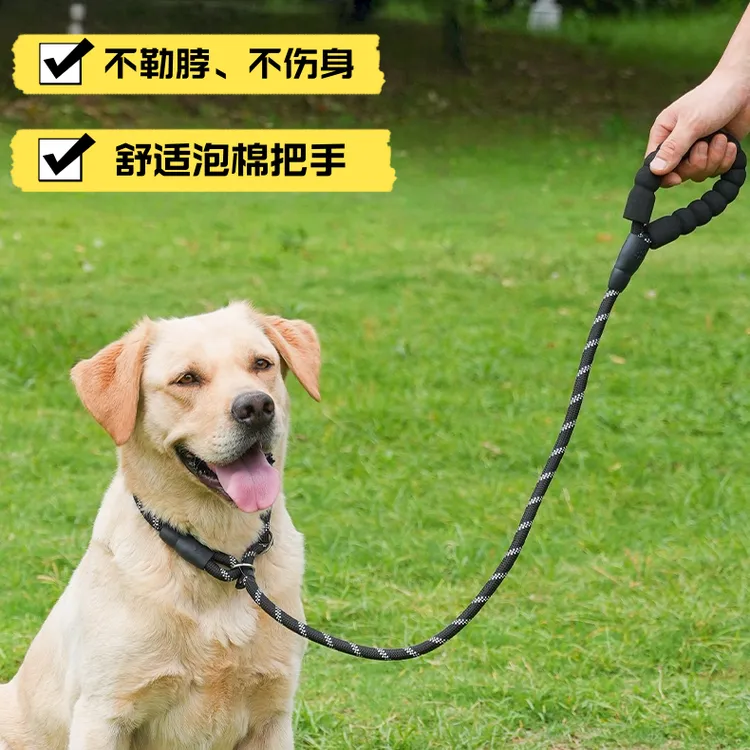狗狗牵引绳不勒手遛狗绳防爆冲一体式p绳中大型犬栓狗绳小狗链子