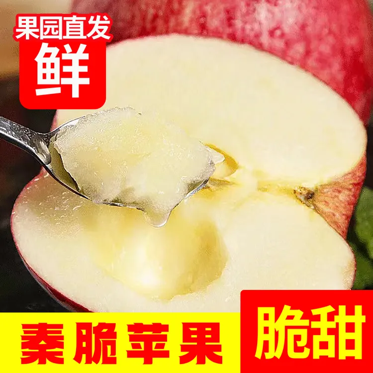 小金县四姑娘山秦脆苹果新鲜现摘脆甜多汁当季水果