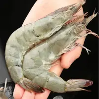 大大号5斤新鲜海大虾 鲜活速冻 顺丰冷链发出 活虾口感 肉质鲜美