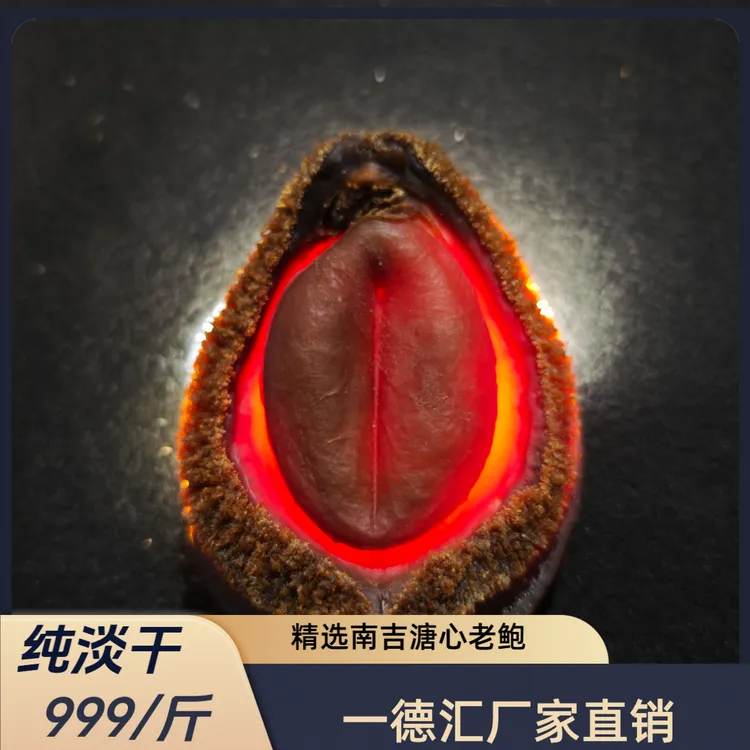 (厂家直销）老南非吉鲍鲍鱼十年老货福利款
