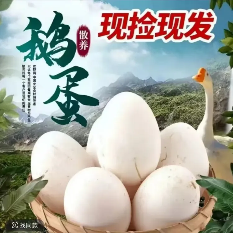 【拍十枚送十枚】单黄鹅蛋大鹅蛋80g-100g新鲜现捡农家土鹅蛋