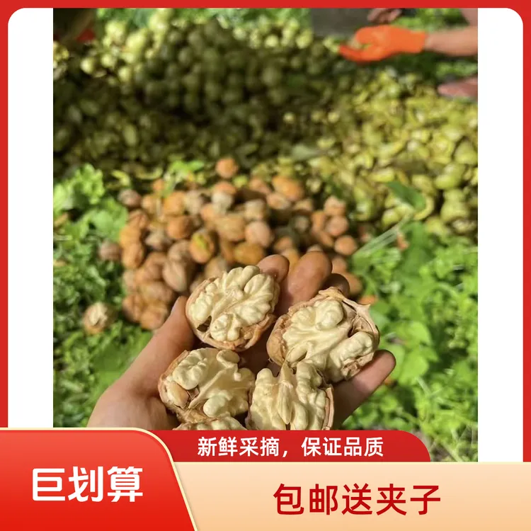 【去青皮】2025年甘肃新鲜湿核桃薄壳原生态美味醇香手工去皮脆嫩