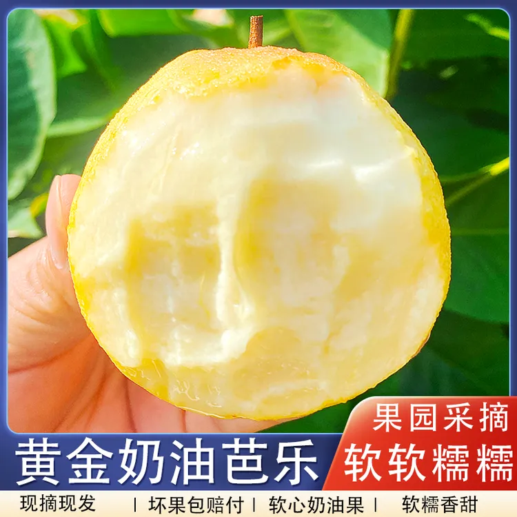 【韵达快递】红白双拼番石榴芭乐水果产地直发白心奶油软芭乐软糯香